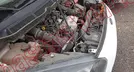 FORD TRANSIT 2022, foto 11 de 19
