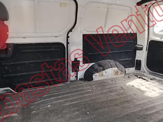 HYUNDAI STAREX 2019, foto 16 de 19