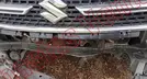 SUZUKI IGNIZ 2018, foto 18 de 19