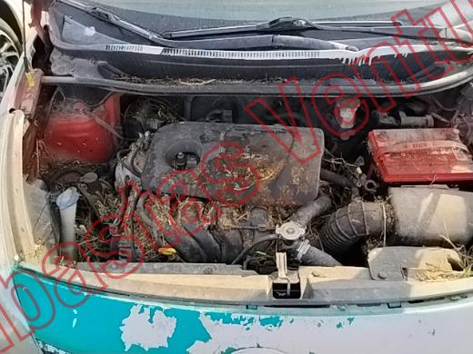 KIA RIO 2017, foto 10 de 19