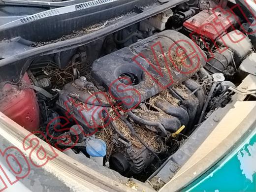 KIA RIO 2017, foto 11 de 19
