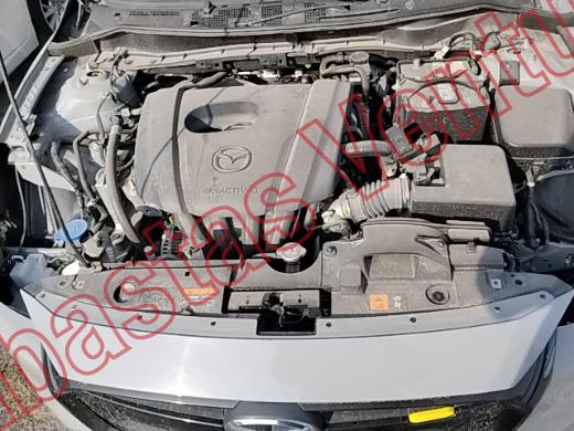 MAZDA MAZDA 2 2024, foto 10 de 19