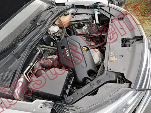 MG 5 2024, foto 11 de 19