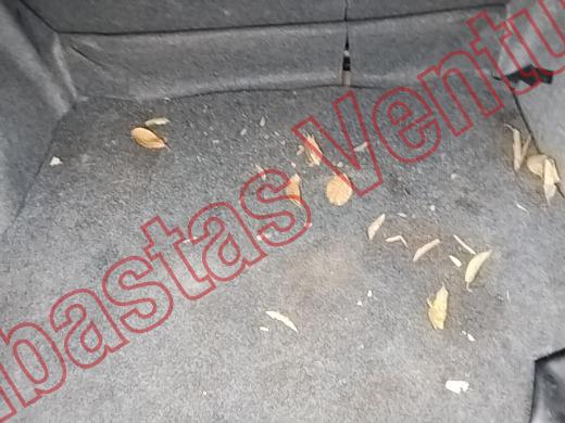 HONDA CITY 2019, foto 15 de 19