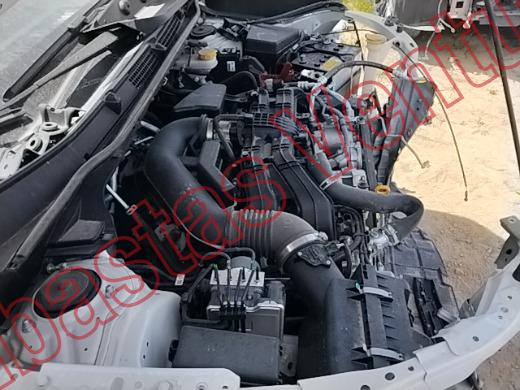 SUBARU FORESTER  2025, foto 11 de 19