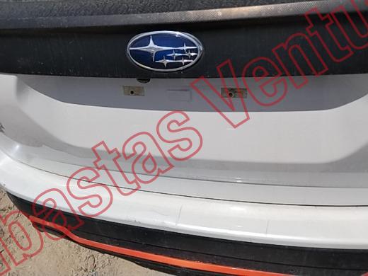 SUBARU FORESTER  2025, foto 19 de 19