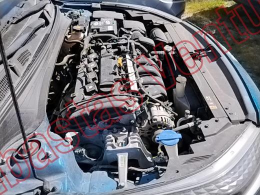 KIA FORTE   2022, foto 11 de 19