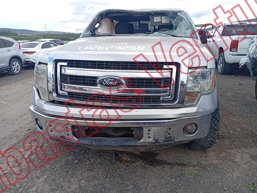 FORD LOBO 2013, foto 2 de 19