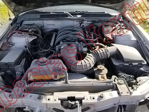 FORD MUSTANG 2005, foto 10 de 19