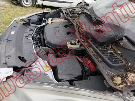 FORD ESCAPE 2016, foto 9 de 19