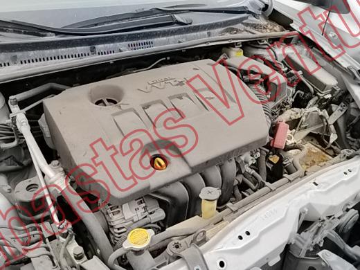 TOYOTA COROLLA 2016, foto 11 de 19