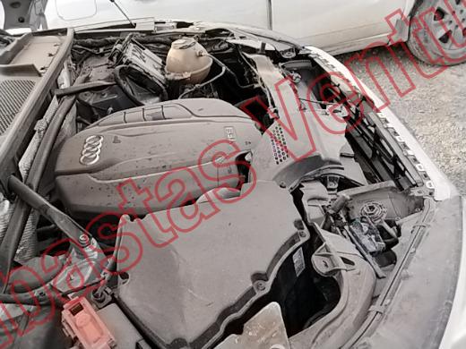 AUDI Q5 2018, foto 11 de 19