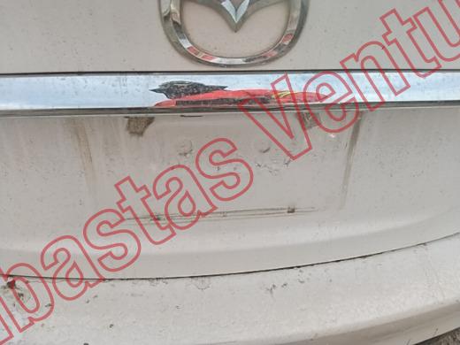 MAZDA MAZDA 6 2018, foto 19 de 19