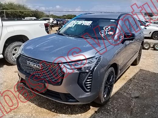GWM HAVAL 2025, foto 1 de 19