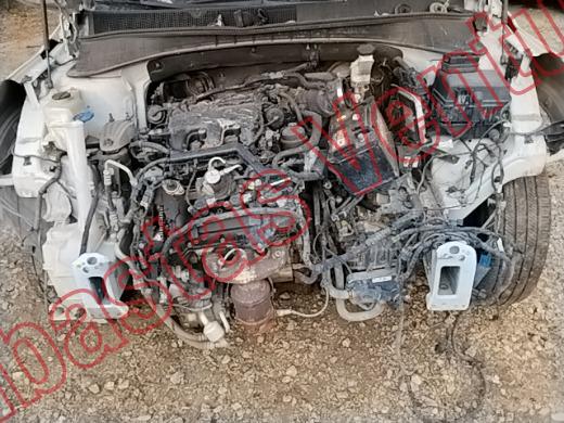 KIA SORENTO  2017, foto 10 de 19