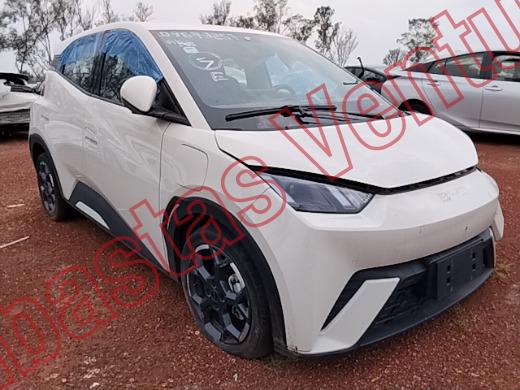 BYD DOLPHIN 2026, foto 3 de 19