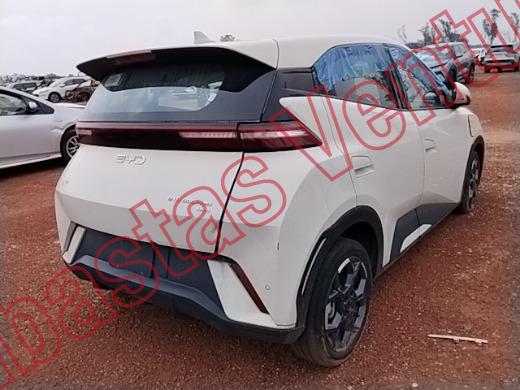 BYD DOLPHIN 2026, foto 5 de 19