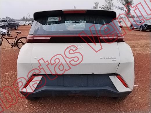 BYD DOLPHIN 2026, foto 6 de 19