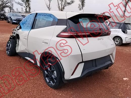 BYD DOLPHIN 2026, foto 7 de 19