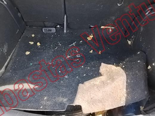 NISSAN KICKS 2019, foto 15 de 19