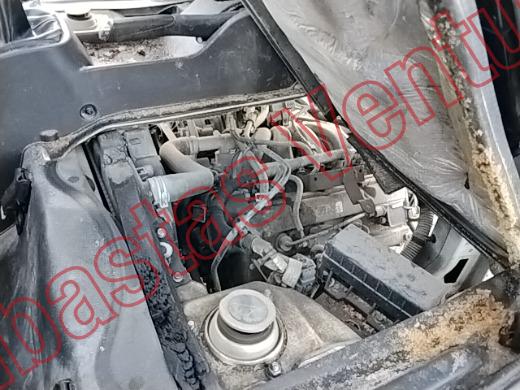 FOTON AUMARK 2024, foto 9 de 19