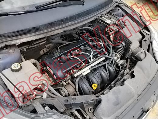 FORD FOCUS 2009, foto 11 de 19