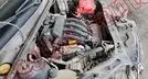 RENAULT LOGAN  2018, foto 11 de 19