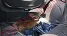 MAZDA MAZDA 2 2012, foto 15 de 19