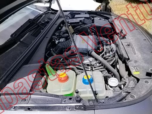 DODGE ATTITUDE 2025, foto 11 de 19