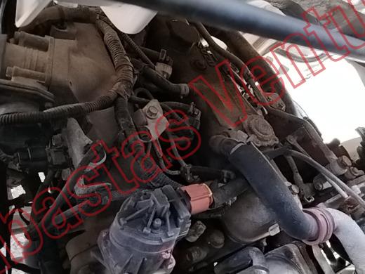 ISUZU ELF  2018, foto 10 de 19