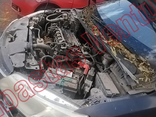 HONDA CITY 2014, foto 9 de 19