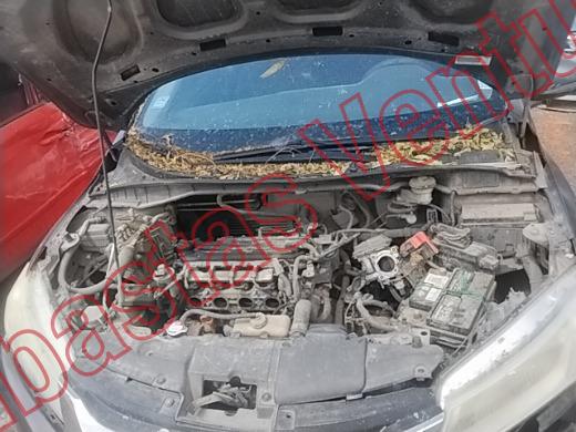 HONDA CITY 2014, foto 10 de 19