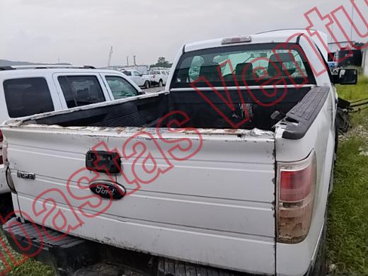 FORD F-150 2011, foto 15 de 19