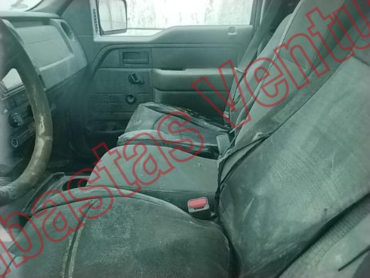 FORD F-150 2011, foto 17 de 19